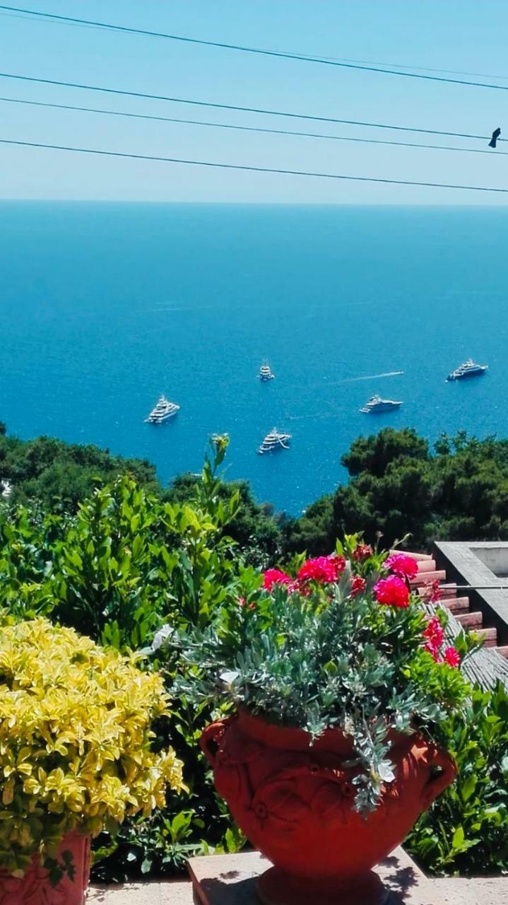Capri Sea View Villa Екстер'єр фото